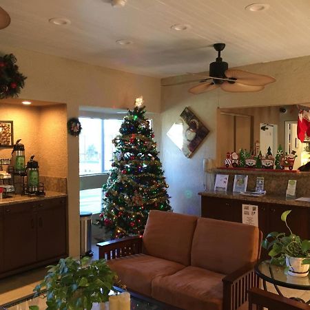 维斯塔海市蜃楼度假酒店 棕榈泉 外观 照片