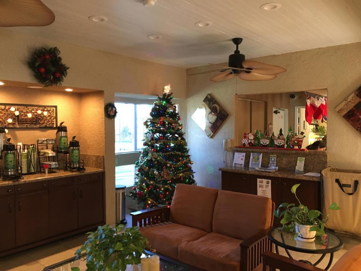 维斯塔海市蜃楼度假酒店 棕榈泉 外观 照片